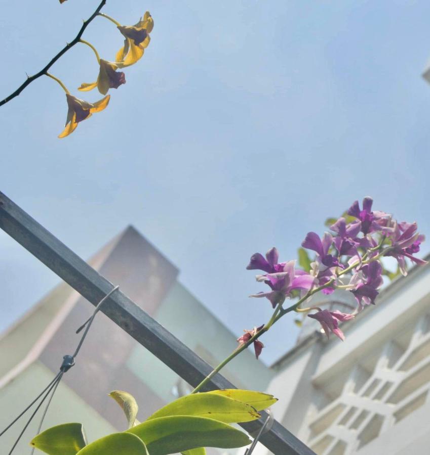 The House 36 Apartamento Hoi An Exterior foto