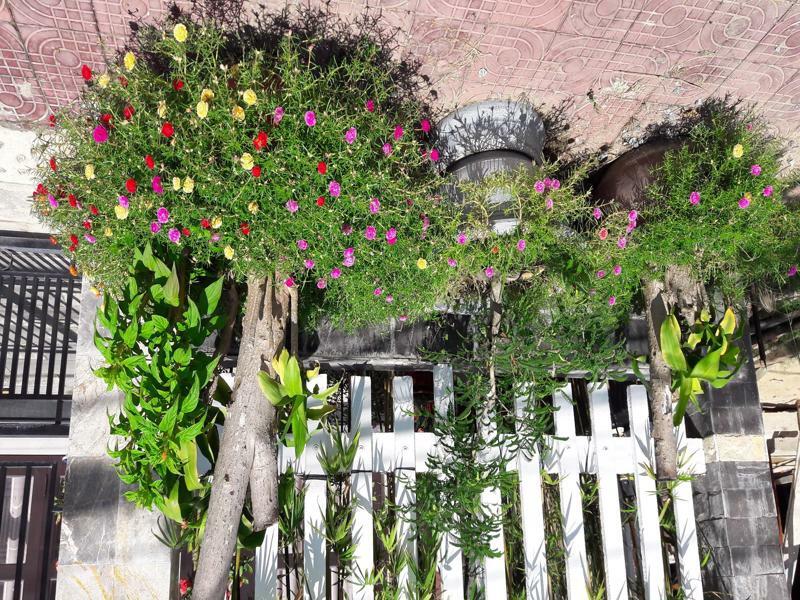 The House 36 Apartamento Hoi An Exterior foto
