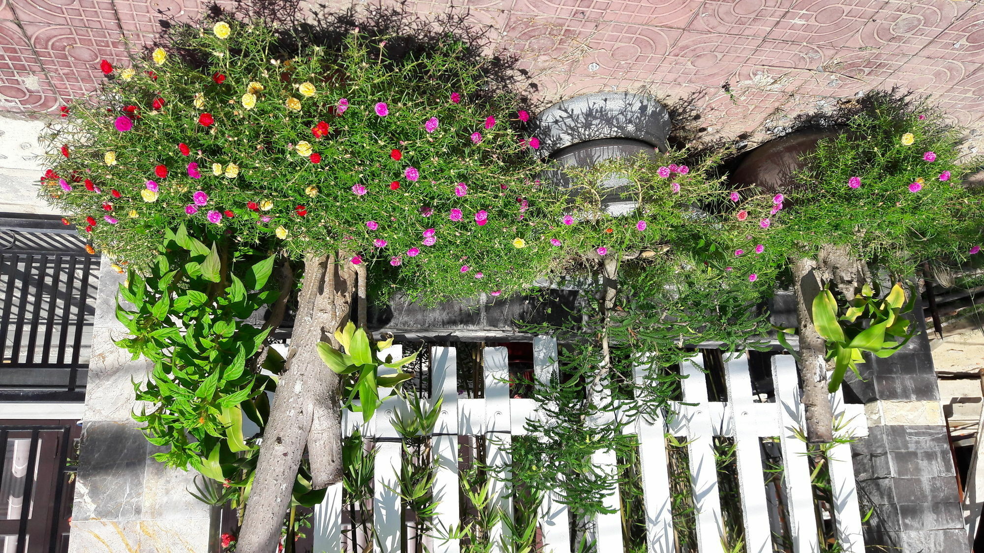 The House 36 Apartamento Hoi An Exterior foto